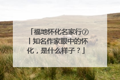 福地怀化名家行⑦丨知名作家眼中的怀化，是什么样子？
