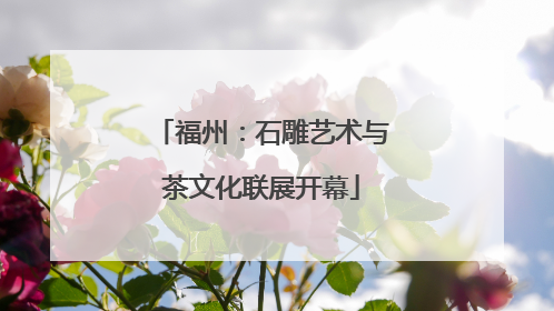 福州：石雕艺术与茶文化联展开幕