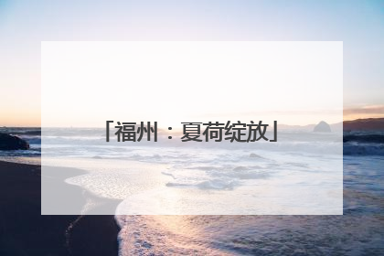 福州：夏荷绽放