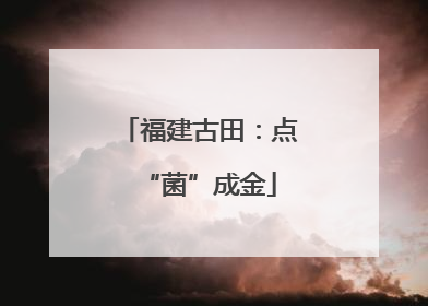 福建古田：点“菌”成金