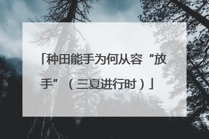 种田能手为何从容“放手”（三夏进行时）