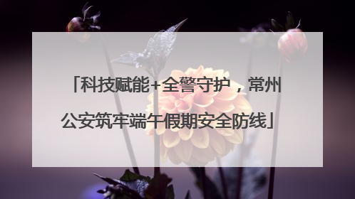 科技赋能+全警守护，常州公安筑牢端午假期安全防线