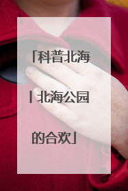 科普北海丨北海公园的合欢