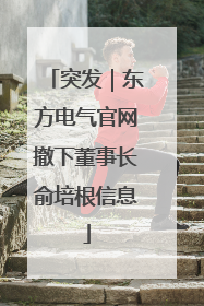 突发｜东方电气官网撤下董事长俞培根信息