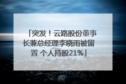 突发！云路股份董事长兼总经理李晓雨被留置 个人持股21%