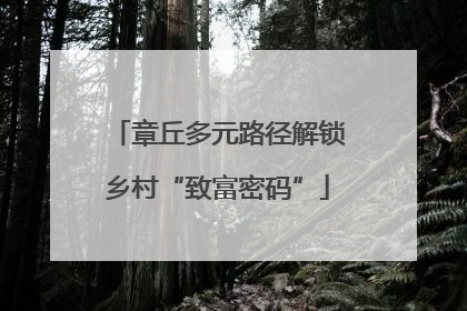 章丘多元路径解锁乡村“致富密码”