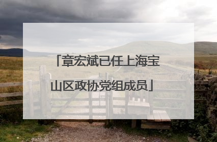 章宏斌已任上海宝山区政协党组成员