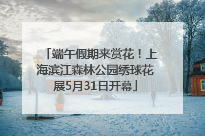 端午假期来赏花！上海滨江森林公园绣球花展5月31日开幕
