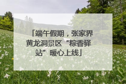 端午假期，张家界黄龙洞景区“粽香驿站”暖心上线