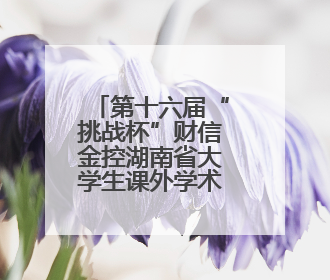 第十六届“挑战杯”财信金控湖南省大学生课外学术科技作品竞赛收官