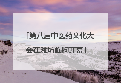 第八届中医药文化大会在潍坊临朐开幕