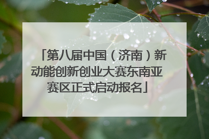第八届中国（济南）新动能创新创业大赛东南亚赛区正式启动报名
