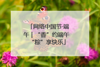 网络中国节·端午｜“香”约端午 “粽”享快乐