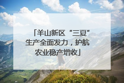 羊山新区“三夏”生产全面发力，护航农业稳产增收