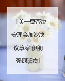 美一票否决安理会加沙决议草案 伊朗强烈谴责