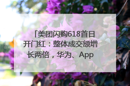 美团闪购618首日开门红：整体成交额增长两倍，华为、Apple、沃尔玛等近800个品牌翻倍增长