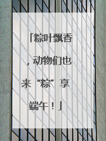 粽叶飘香，动物们也来“粽”享端午！