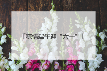 粽情端午迎“六一”