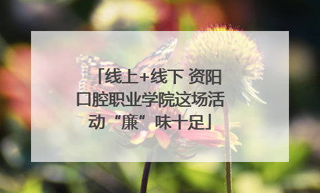 线上+线下 资阳口腔职业学院这场活动“廉”味十足