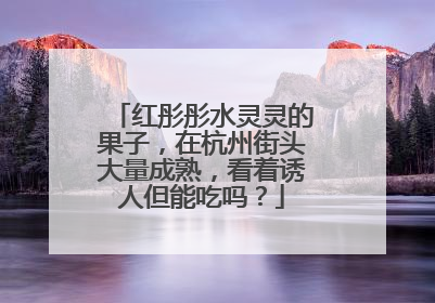 红彤彤水灵灵的果子，在杭州街头大量成熟，看着诱人但能吃吗？