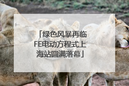 绿色风暴再临 FE电动方程式上海站圆满落幕
