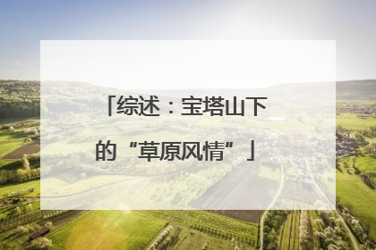 综述：宝塔山下的“草原风情”