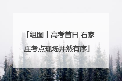 组图丨高考首日 石家庄考点现场井然有序
