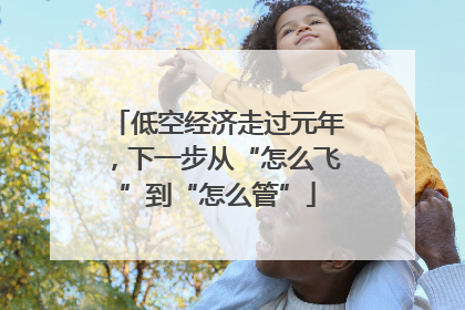 低空经济走过元年，下一步从“怎么飞”到“怎么管”