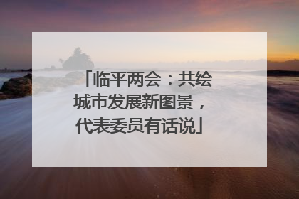 临平两会：共绘城市发展新图景，代表委员有话说