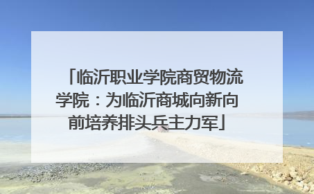 临沂职业学院商贸物流学院：为临沂商城向新向前培养排头兵主力军