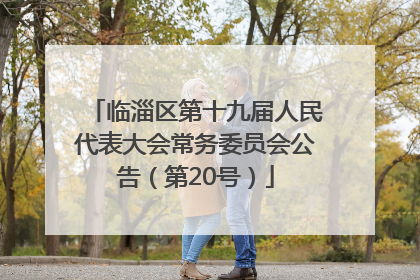 临淄区第十九届人民代表大会常务委员会公告（第20号）