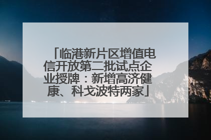 临港新片区增值电信开放第二批试点企业授牌：新增高济健康、科戈波特两家