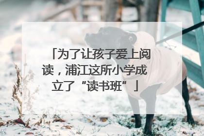 为了让孩子爱上阅读，浦江这所小学成立了“读书班”
