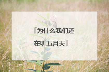 为什么我们还在听五月天
