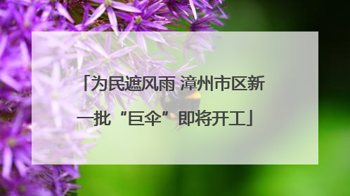 为民遮风雨 漳州市区新一批“巨伞”即将开工