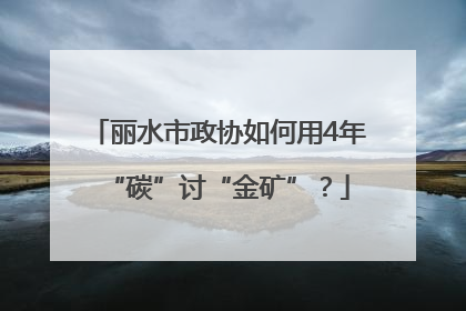 丽水市政协如何用4年“碳”讨“金矿”？