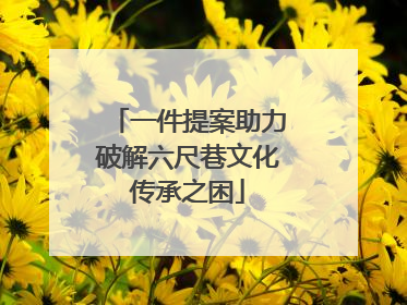 一件提案助力破解六尺巷文化传承之困