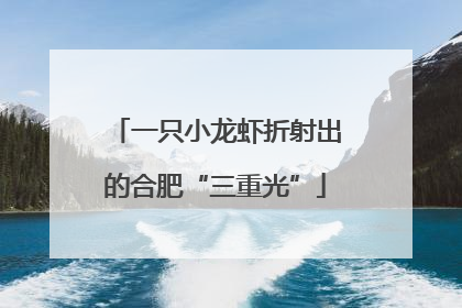 一只小龙虾折射出的合肥“三重光”