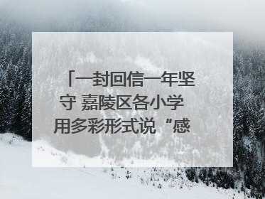 一封回信一年坚守 嘉陵区各小学用多彩形式说“感恩”｜风起之江 扶摇直上