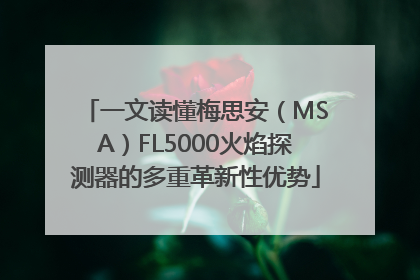 一文读懂梅思安（MSA）FL5000火焰探测器的多重革新性优势