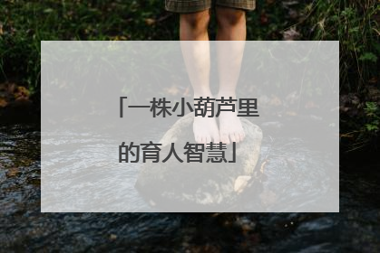 一株小葫芦里的育人智慧