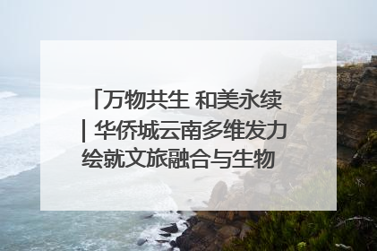 万物共生 和美永续｜华侨城云南多维发力 绘就文旅融合与生物多样性保护新图景