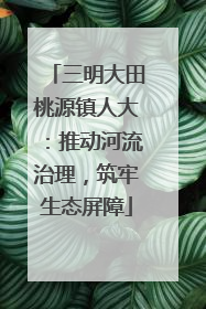 三明大田桃源镇人大：推动河流治理，筑牢生态屏障