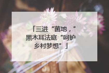 三进“菌地，”黑木耳法庭“呵护乡村梦想”