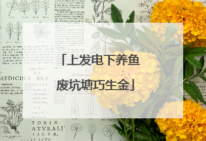 上发电下养鱼 废坑塘巧生金