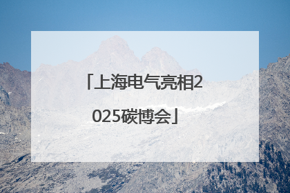 上海电气亮相2025碳博会