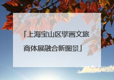 上海宝山区擘画文旅商体展融合新图景