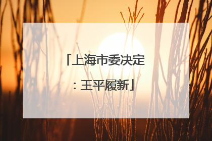 上海市委决定：王平履新