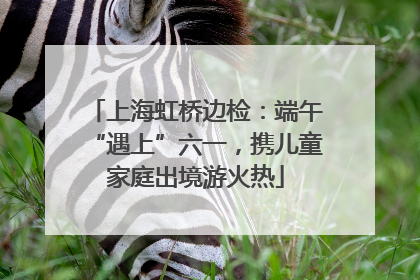 上海虹桥边检:端午“遇上”六一,携儿童家庭出境游火热