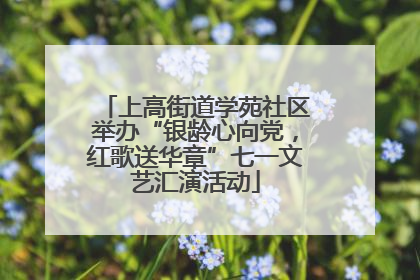 上高街道学苑社区举办“银龄心向党，红歌送华章”七一文艺汇演活动